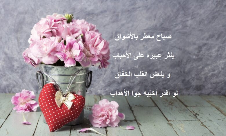 شعر جميل