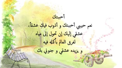 عبارات عن الحب راقية.