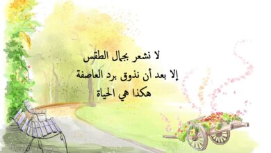 كلمات عن الجو الجميل.