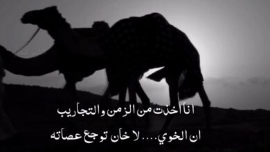 أبيات شعر للأصدقاء