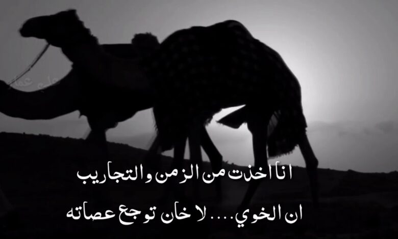 أبيات شعر للأصدقاء