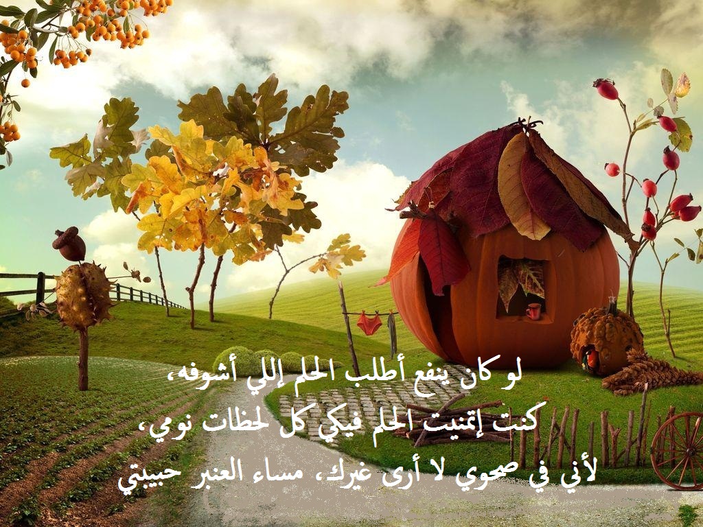 مسجات حب مسائية للحبيبة و الخطيبة.