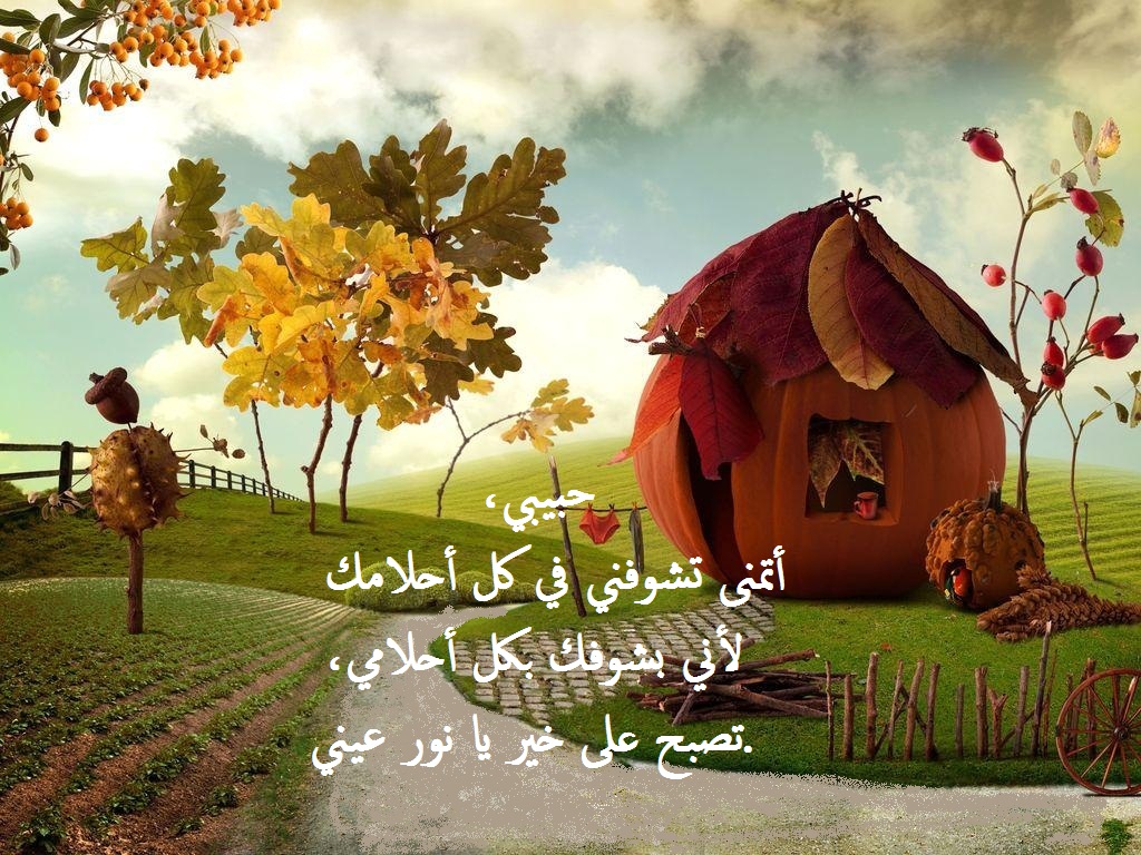 رسائل حب في المساء.