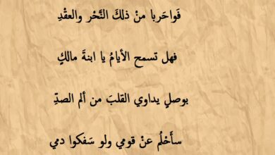 مقتطفات من شعر غزلي لعنترة بن شداد.