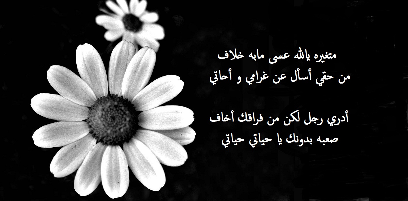 شعر حزين لصديق.