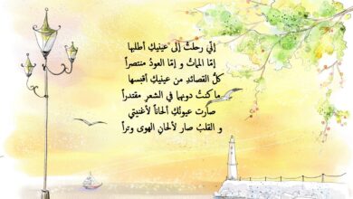 خواطر غزل العيون.