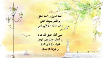 خواطر عشق مكتوبة.