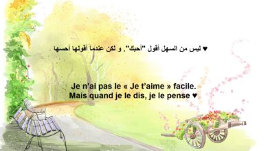 كلام في الحب بالفرنسية.