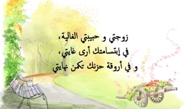 خواطر حب رومانسة.