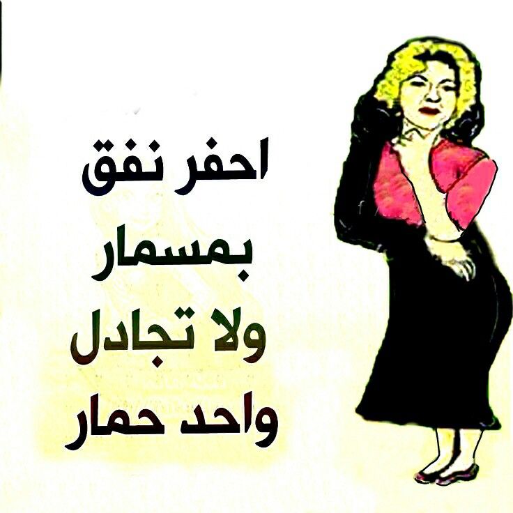 أمثال مصرية مضحكة