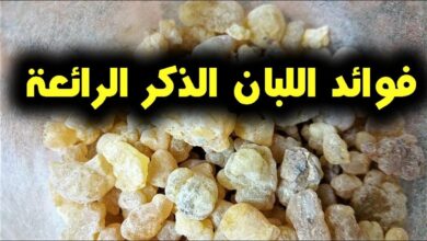 اضرار منقوع لبان الذكر