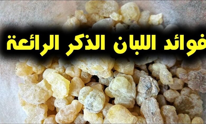 اضرار منقوع لبان الذكر