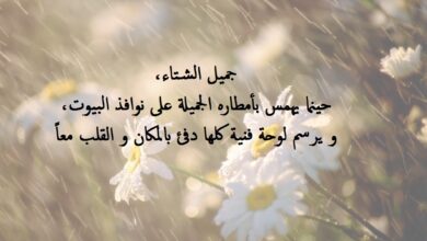 أقوال عن الشتاء.