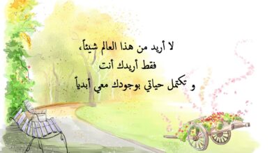 مقولة عن الحب.