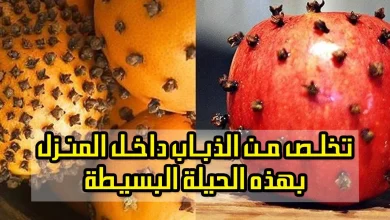 الذباب