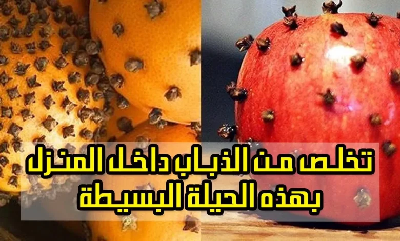 الذباب