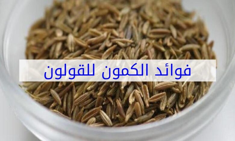 فوائد الكمون للقولون