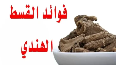 فوائد القسط الهندي للحمل