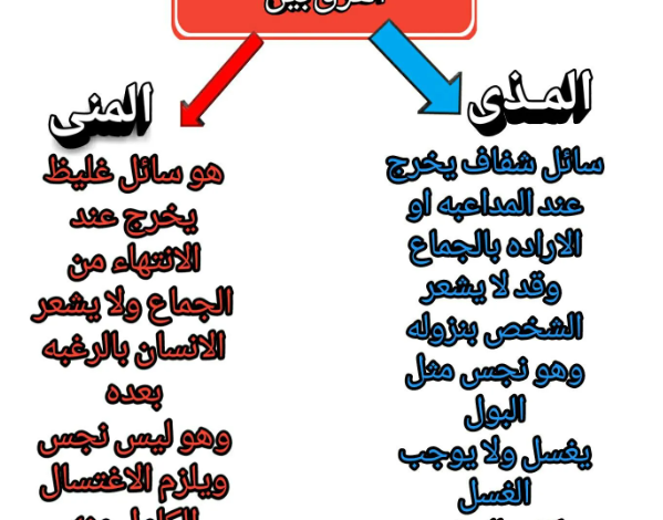 الفرق بين المذي والمني