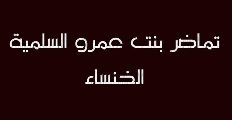 قصيدة رثاء الخنساء في أخيها صخر كاملة