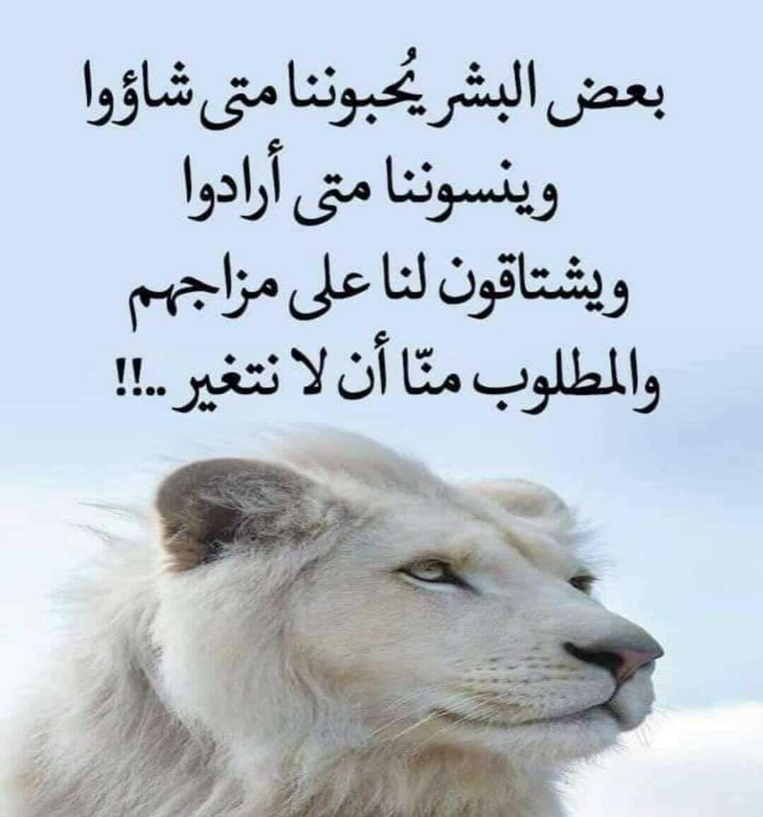 بعض البشر