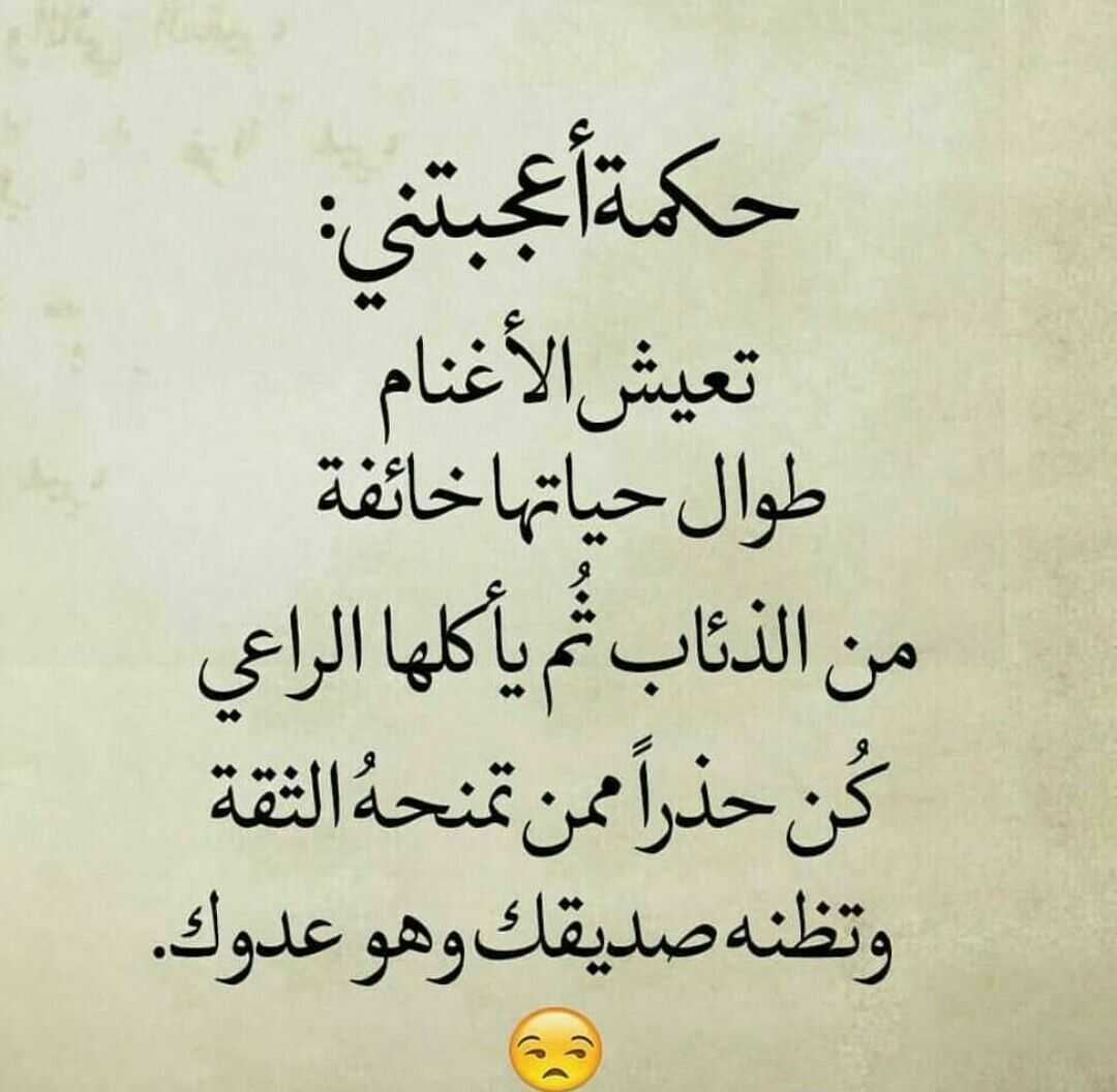 تعيش الأغنام