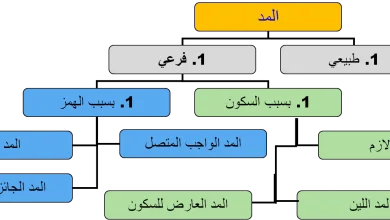 أسباب المد الفرعي