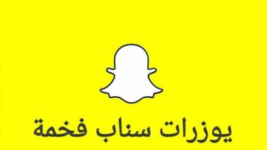 يوزرات سناب فخمة