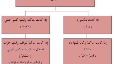 من امثله ترقيق الراء