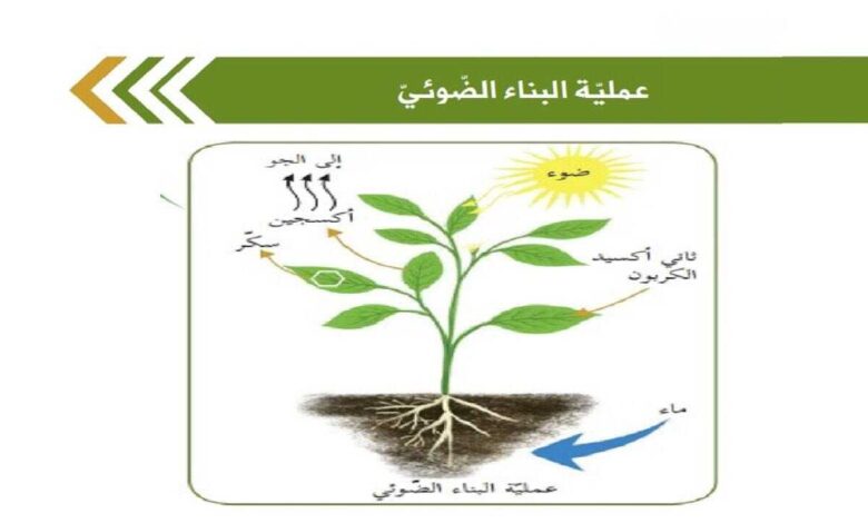 معادله عمليه البناء الضوئي