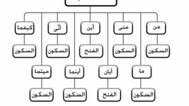 اختر كل أسلوب شرط