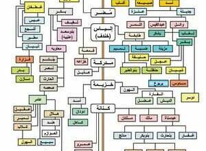 عيارات فخوذ الدواسر