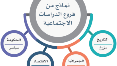 من فروع الدراسات الاجتماعيه