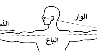 ٦٠ ذراع كم متر