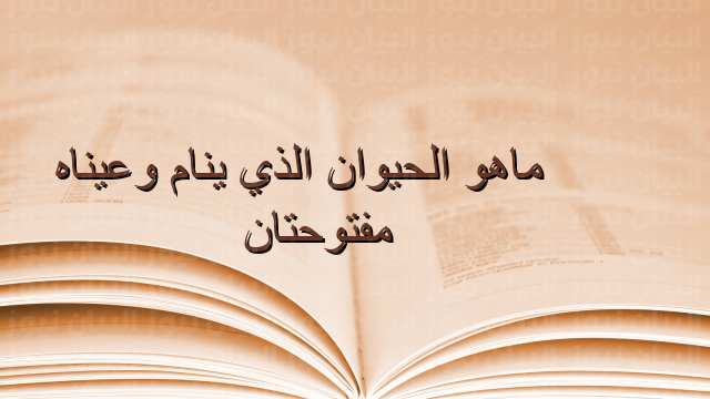 حيوان ينام وعيناه مفتوحتان .. هل يمكن لحيوان ان ينام بعيون مفتوحة؟