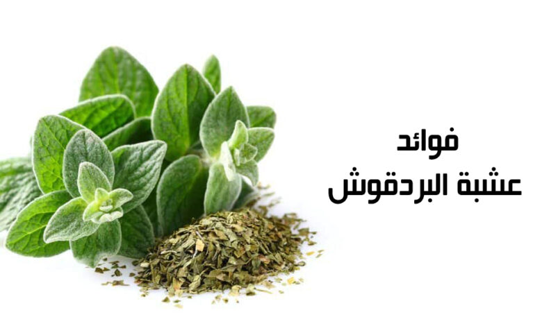 فوائد البردقوش للرحم