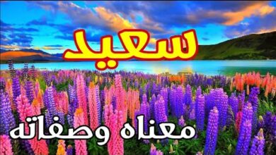 دلع اسم سعيد