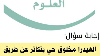 الهيدرا مخلوق حي يتكاثر عن طريق؟ ما هو حيوان الهيدرا؟