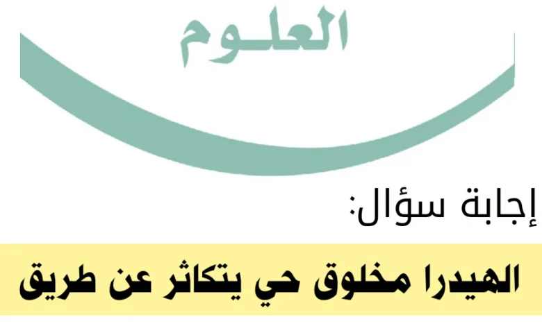 الهيدرا مخلوق حي يتكاثر عن طريق؟ ما هو حيوان الهيدرا؟