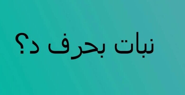 نبات بحرف د اتوبيس كومبليت .. أسماء نباتات غير مشهورة بحرف د