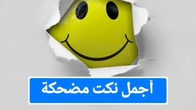 نكت مضحكة 2024 .. نكت تموت من الضحك مصرية